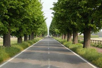 Immagini di Sale - Pista ciclabile per Alluvioni Cambiò